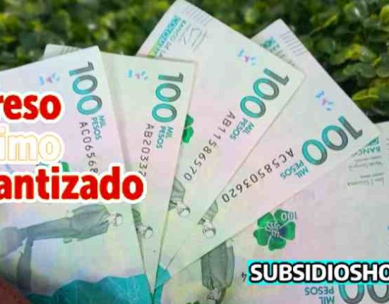 ingreso minimo garantizado-sinculta-subsidioshoy.com-billeteras digitales-Wintor ABC