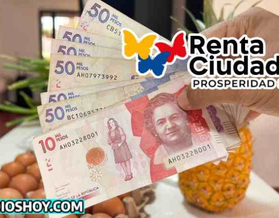 renta ciudadana-subsidio-susbidioshoy.com-ayuda economica-wintor ABC