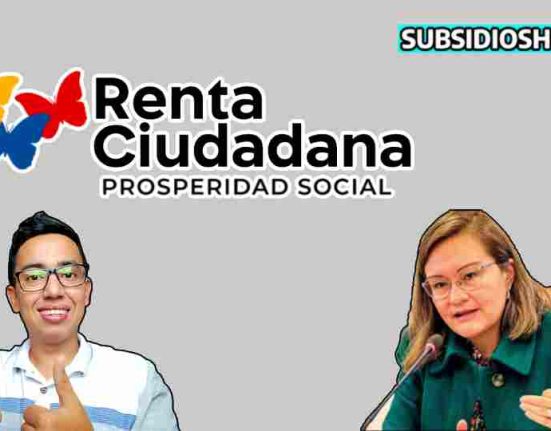 renta ciudadana