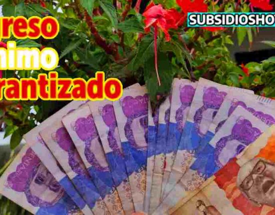 ingreso minimo garantizado-2023-subsidioshoy- colombia-Wintor ABC