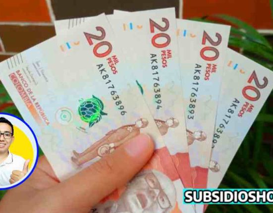 ingreso minimo garantizado-subsidioshoy.com- colombia- apoyo economico- wintor ABC