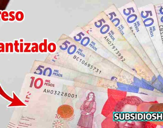 ingreso minimo garantizado-pagos-subsidioshoy.com-apoyo economico-wintorABC