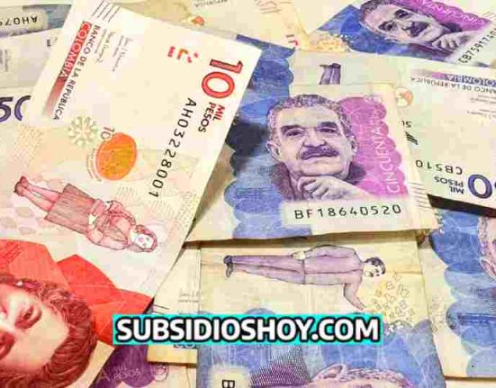 ingreso minimo garantizado-pagos-ayuda economica- subsidioshoy.com-billeteras digitales- wintorABC