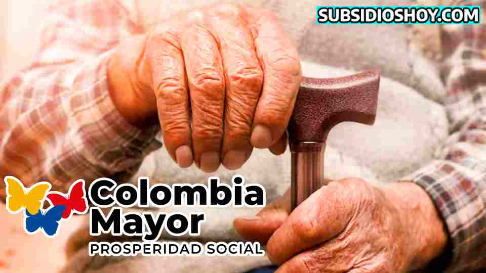 Colombia Mayor: ¿Estás en la Lista de Suspendidos? Consulta via LINK. 1 colombia mayor-subsidioshoy.com-subsidio-consultar-wintor ABC