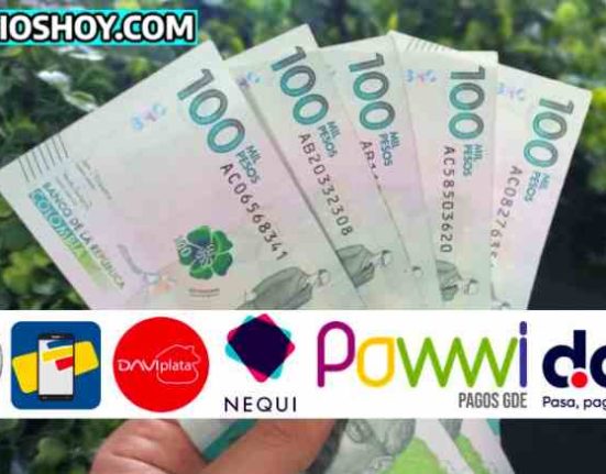 ingreso minimo garantizado-pagos-subsidiohoy.com-pagos-billetras digitales-wintor ABC