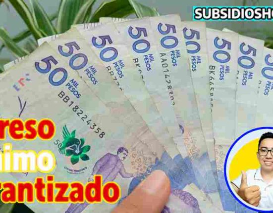 ingreso minimo garantizado-subsidioshoy.com-nuevo link-pagos- beneficiarios-wintor ABC