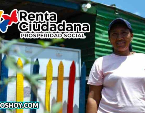 renta ciudadana-subsidioshoy.com-consulta-requisitos-wintor ABC