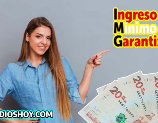 ingreso minimo garantizado-bogota-subsidioshoy.com-apoyo economico-wintor ABC