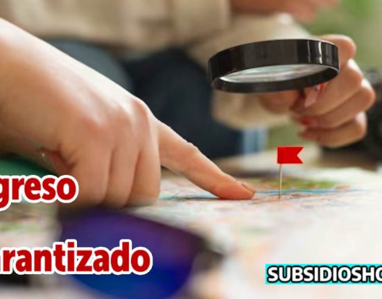 ingreso minimo garantizado-consultas-diciembre-subsidioshoy.com-wintor ABC