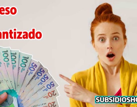 ingreso minimo garantizado-pagos-subsidioshoy.com- billetera digital-wintor ABC