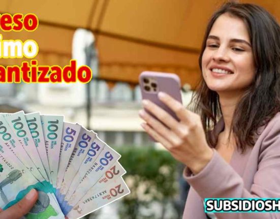 ingreso minimo garnatizado-pagos-subsidioshoy.com-consulta-wintor ABC- 2023