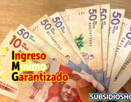 ingrso minimo garantizado-subsidioshoy.com-link-pagos-wintor ABC