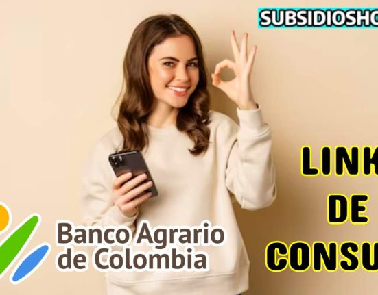 renta ciudadana- link-subsidioshoy.com-consulta-wintor ABC
