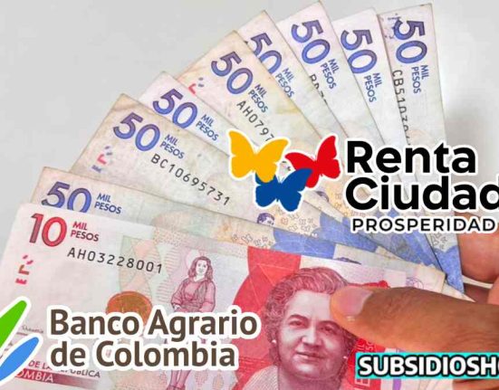 renta ciudadana-pagos-billetera digital-subsidioshoy.com-link- wintor ABC