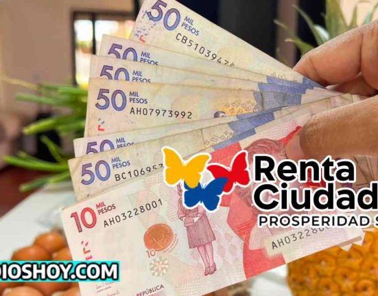 renta ciudadana-pin-pagos-subsidioshoy.com-ayuda economica-wintor ABC