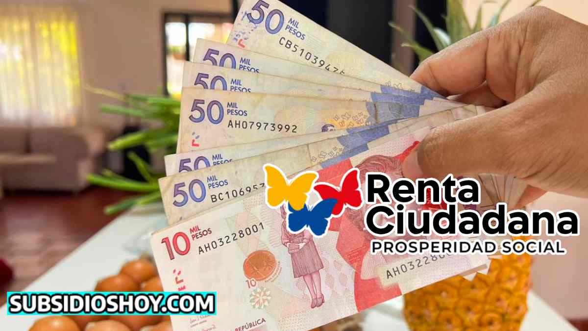 Wintor ABC: Asistencia de Anita, Tu Aliada en el Retiro de la Renta Ciudadana 2023. 1 renta ciudadana-pin-pagos-subsidioshoy.com-ayuda economica-wintor ABC