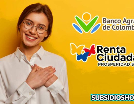 renta ciudadana-wintor ABC-billetera digital-dinero