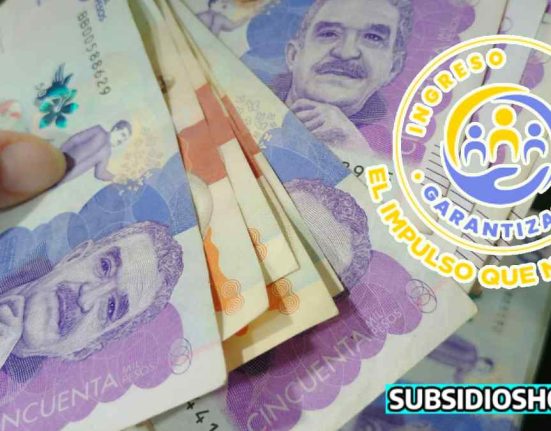 ingreso minimo garantizado-pagos-feria-subsidioshoy.com-ayuda economica-wintor ABC