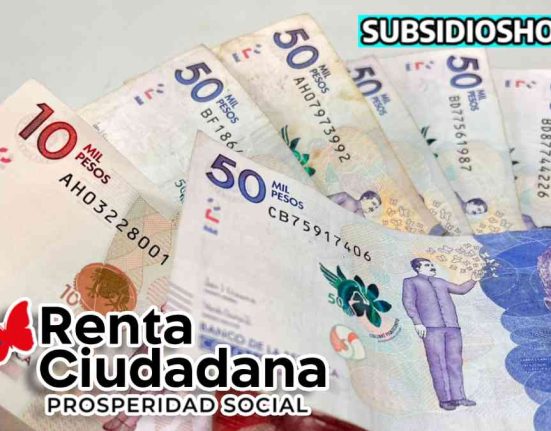 renta ciudadana 2024