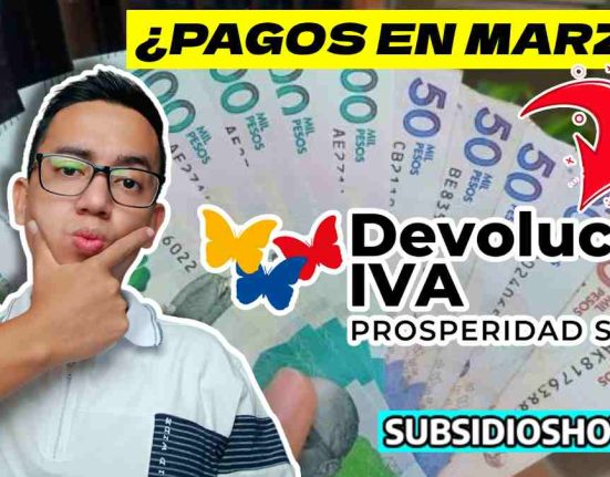 devolucion del iva 2024
