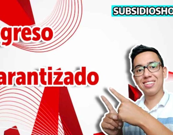 consulta- ingreso minimo garantizado