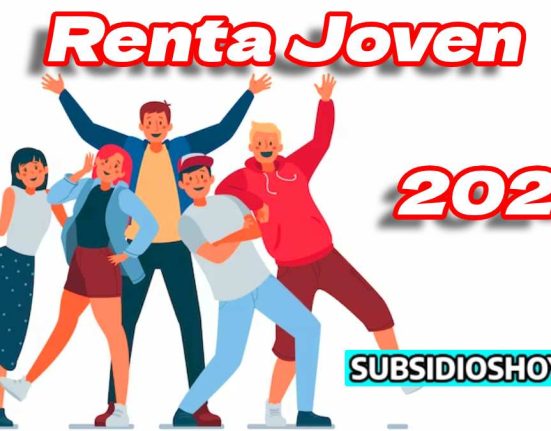 Renta joven- 2024