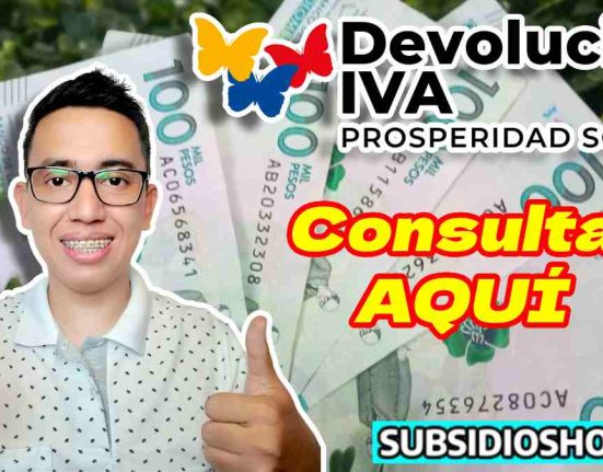devolucion del iva, 2024