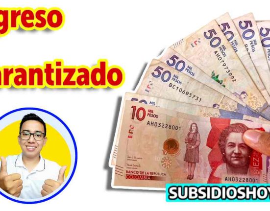 pago- ingreso minimo garantizado