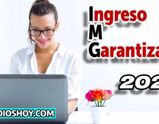 ingreso minimo garantizado- LINK
