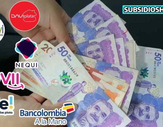 ingreso minimo garantizado- pagos