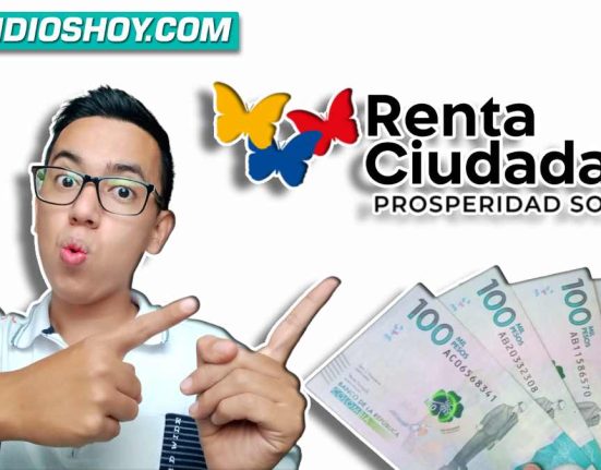renta ciudadana