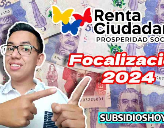 renta ciudadana 2024