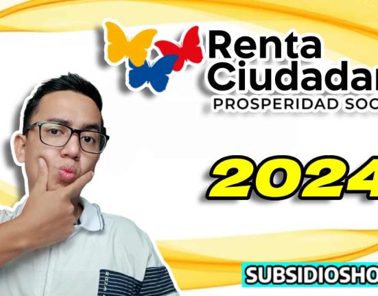 renta ciudadana - febrero
