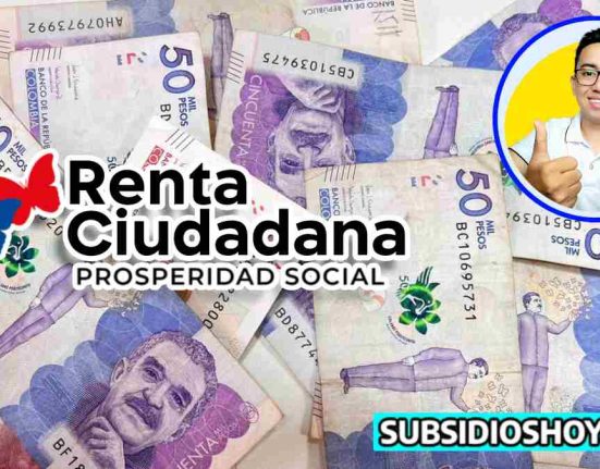 renta ciudadana- wintor ABC 2024