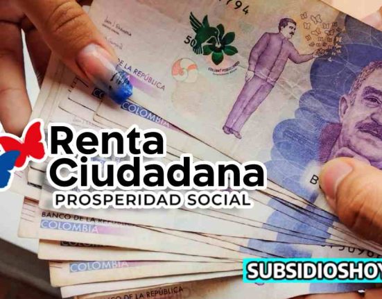 renta ciudadana 2024