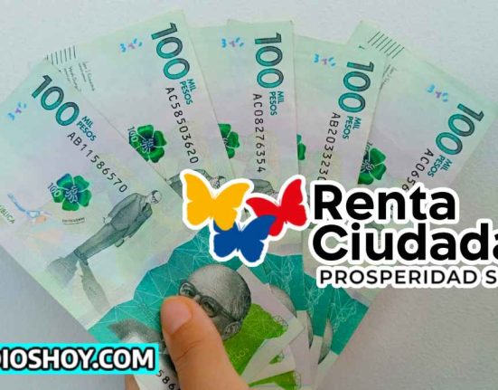 focalización- renta ciudadana