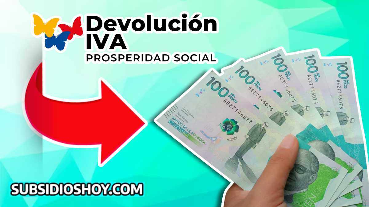 subsidios 2024