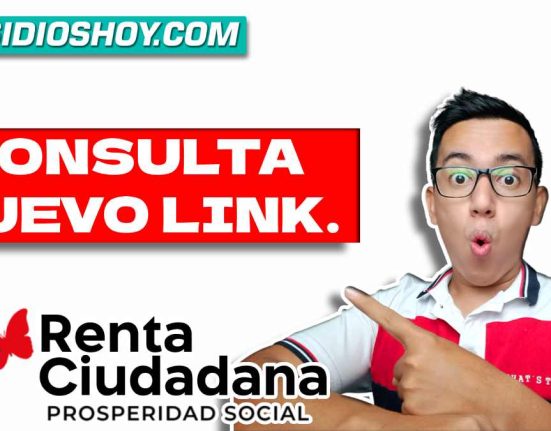 Renta Ciudadana- consulta