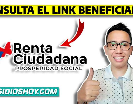 consulta- renta ciudadana