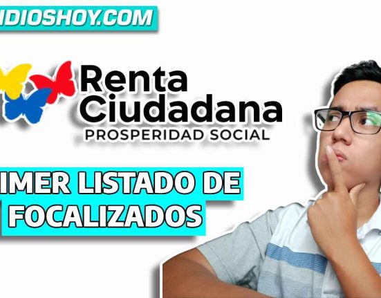 Renta ciudadana