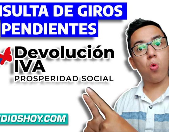 devolucion del iva- giros