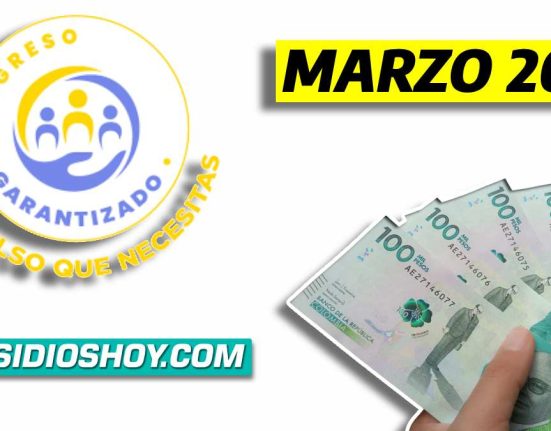ingreso minimo garantizado