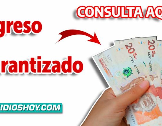 img- consulta