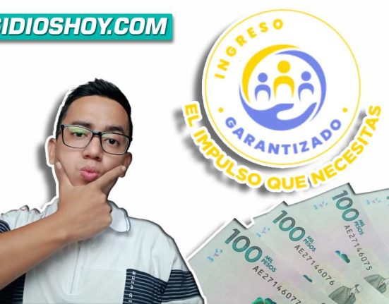 ingreso minimo garantizado