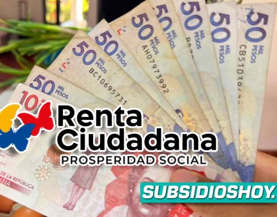 renta ciudadana