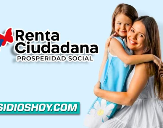 renta ciudadana- subsidios