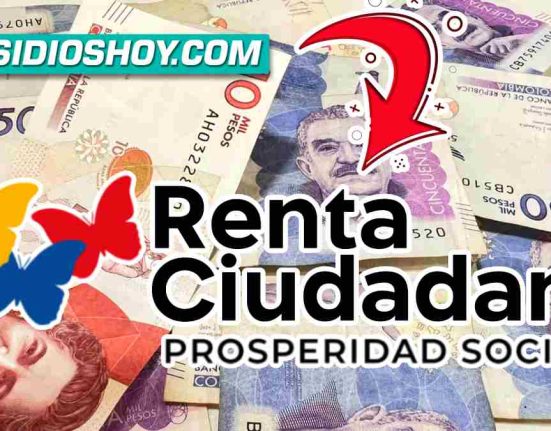 Renta ciudadana