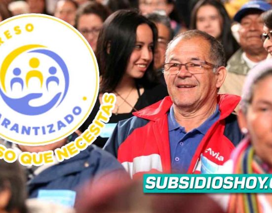 ingreso minimo garantizado