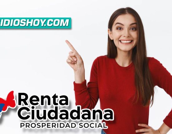 renta ciudadana-