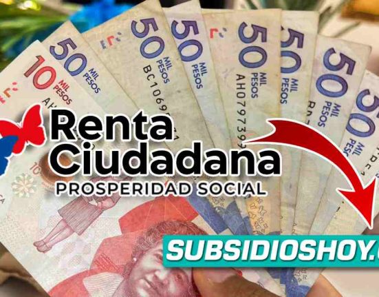 renta ciudadana- subsidio